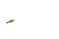 3004000391_Thermostatic element 70°C_1_base