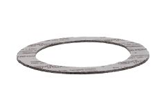3004052436_1C350004_AS Donaldson Flat Gasket NW100 PN16_1_base