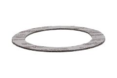 3004052436_1C350004_AS Donaldson Flat Gasket NW100 PN16_1_base