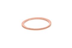 3004110213_A93189570 CompAir Sealing Ring A 21 X26_1_base