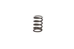 3004629082_A05161385 Compair Spring_1_base