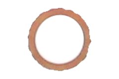 3004672690_704020 Rietschle Sealing Ring_1_base