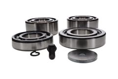 3004680153_RB284829000 Robuschi Robu KIT SPS BearingStd  RBS9_1_base