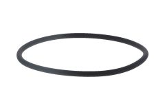 3004802871_O Ring_1_base